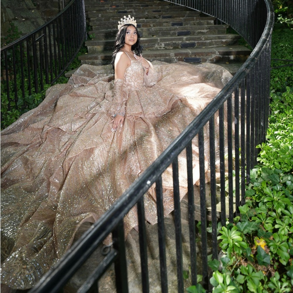 quince dress, 
brand is princesa by Ariana vara